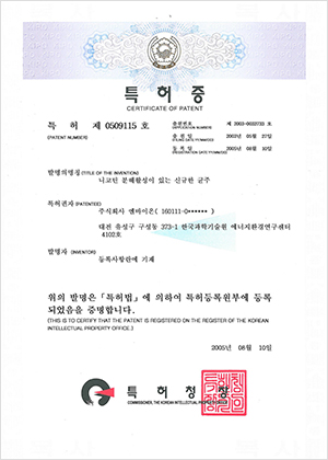 임시 이미지